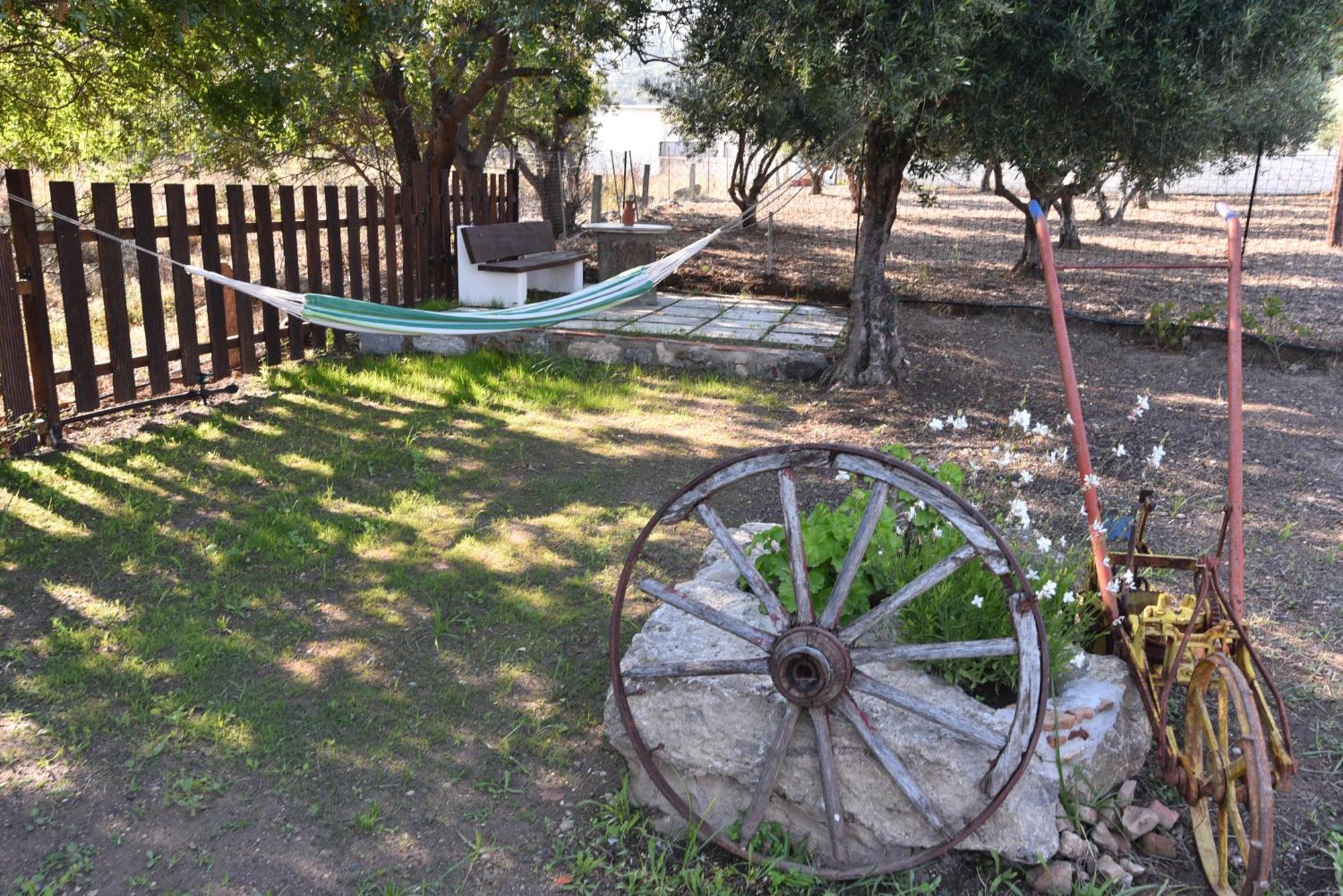 Villa Traditional With Swimming Pool, Lawn Yard And Bbq Kos Town